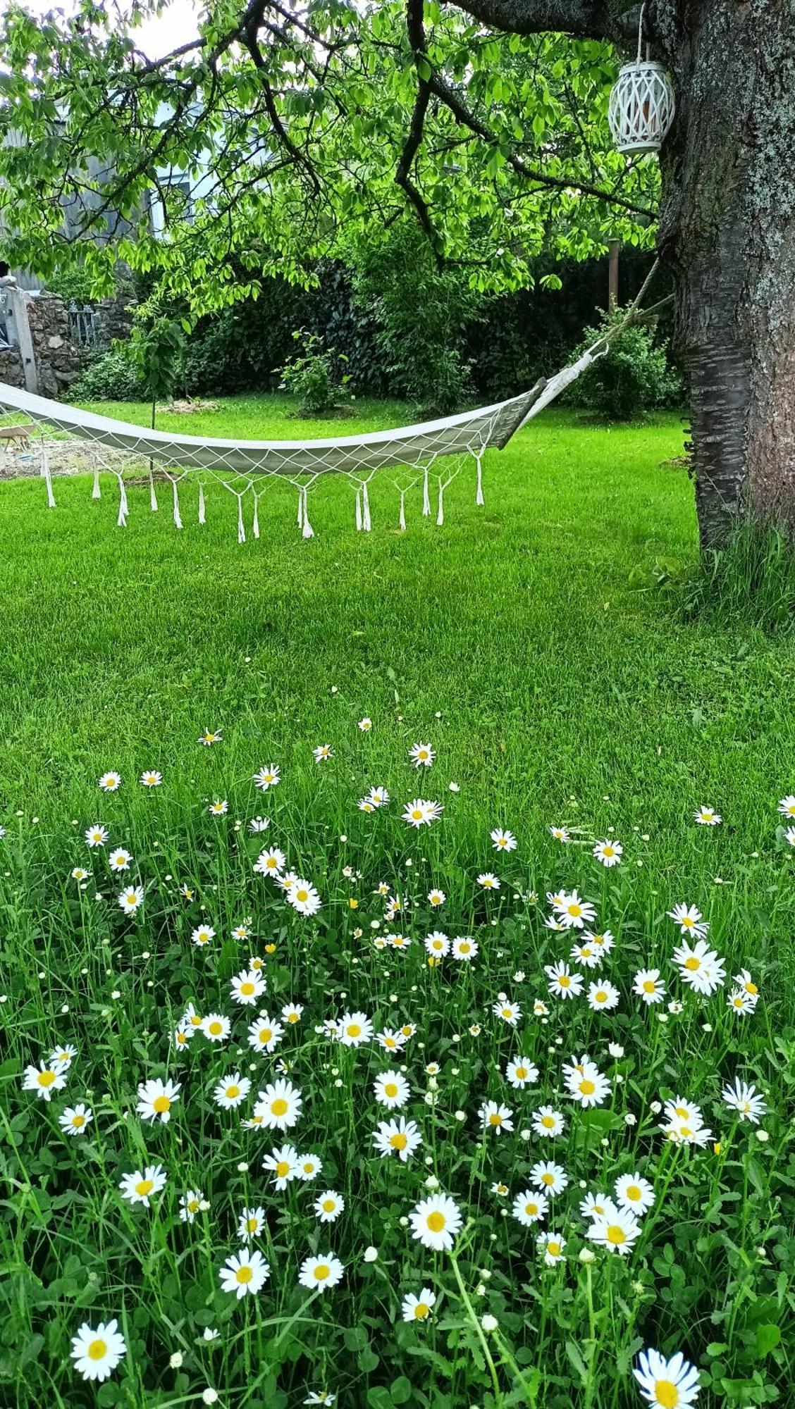 Penzion Villa Marion Marianske Lazne Bagian luar foto