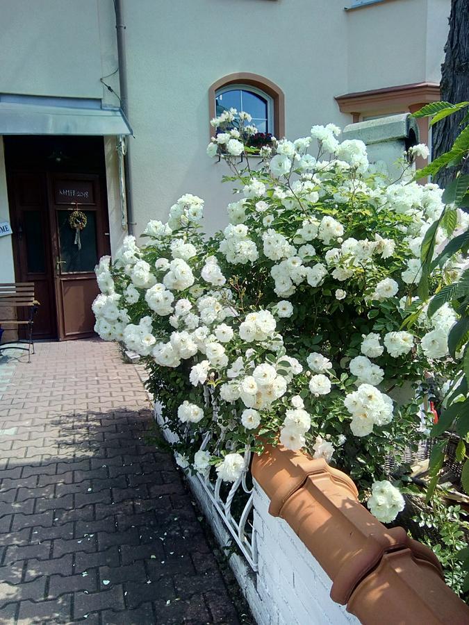 Penzion Villa Marion Marianske Lazne Bagian luar foto